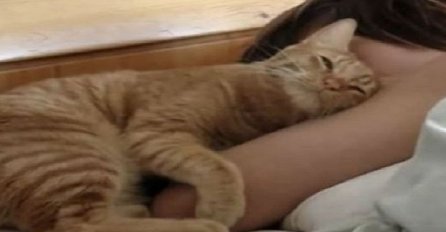 Kada pogledate šta ova maca radi svako jutro svojoj vlasnici poželjet ćete da imate jednu poput nje (VIDEO) 