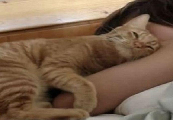 Kada pogledate šta ova maca radi svako jutro svojoj vlasnici poželjet ćete da imate jednu poput nje (VIDEO) 