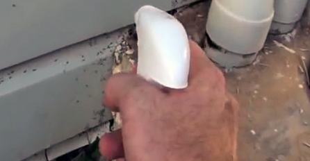 Riješite se mrava i ostalih štetočina u svom domu na do sada najlakši i najbrži način (VIDEO)
