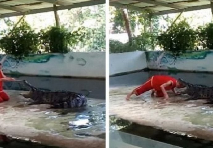 Čuvar u ZOO vrtu gurnuo je glavu u ralje krokodila i nije se dobro proveo (VIDEO)