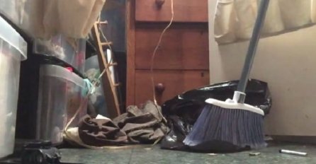 Štapom je dotakla kesu sa smećem, no nikako nije očekivala da će iz nje izaći ovo (VIDEO)