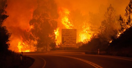 DRAMATIČNA BORBA SA VATRENOM STIHIJOM: Stravična vatra progutala najmanje 57 LJUDI, stotine vatrogasaca se bore sa požarom (FOTO)