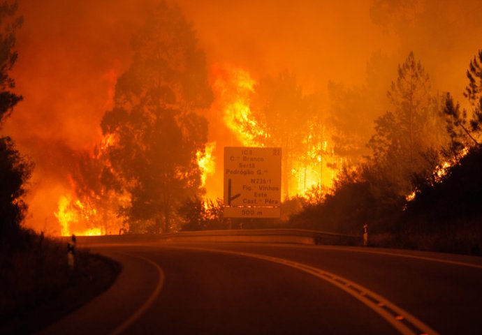 DRAMATIČNA BORBA SA VATRENOM STIHIJOM: Stravična vatra progutala najmanje 57 LJUDI, stotine vatrogasaca se bore sa požarom (FOTO)