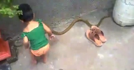 3-godišnja djevojčica je primijetila ogromnu zmiju u dvorištu, ono što je uradila će vam zalediti krv u žilama (VIDEO)