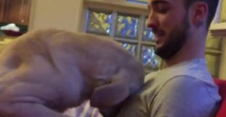 Ima li nešto slađe? Pogledajte kako ovaj pas moli vlasnika za oproštaj! (VIDEO)