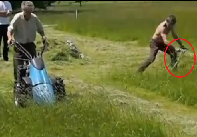 Kosio je travu kosilicom, a onda je došao majstor s ručnom kosom i pokazao mu ko je gazda! (VIDEO)