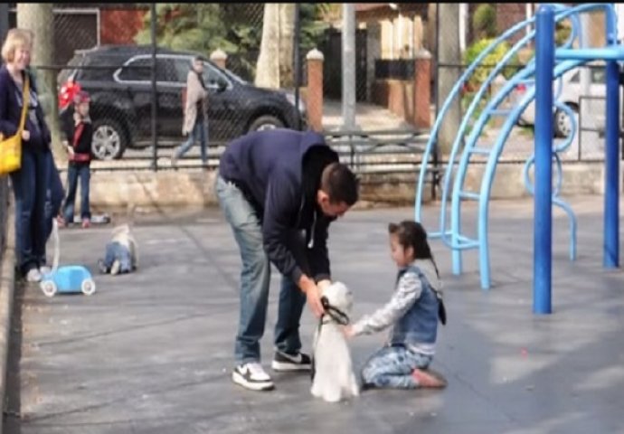 Pokušao je da kidnapuje djecu u parku, no pogledajte šta mu se dogodilo! (VIDEO)