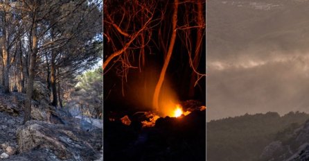 VELIKA KATASTROFA: Kako izgleda Park prirode Biokovo nakon požara (FOTO) 