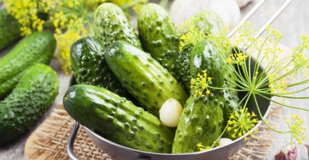 KRASTAVAC – osvježavajući plod koji čuva vaše zdravlje, pomažu kod mršavljenja...
