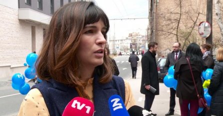 Ćudić: Struka odavno ukazala da je integrativna nastava moguća