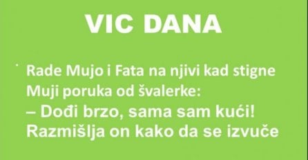 VIC DANA MUJO ŠVALER