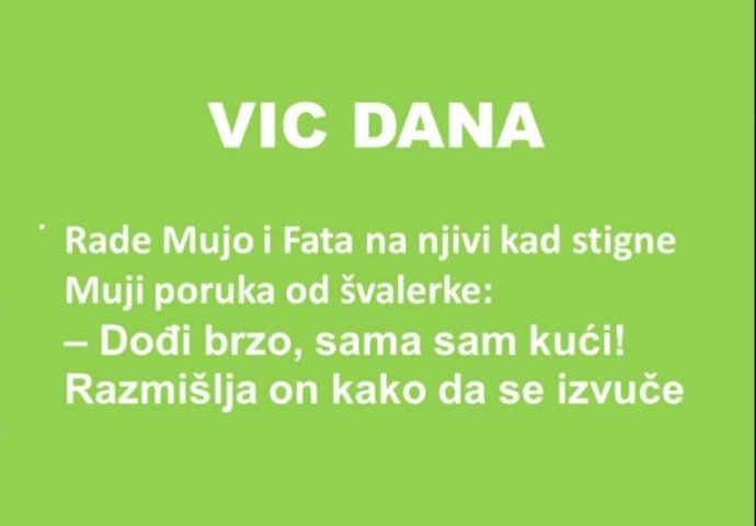 VIC DANA MUJO ŠVALER