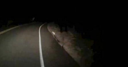 Vozio se po noći pustom cestom, a onda naišao na prizor koji će dugo pamtiti (VIDEO) 