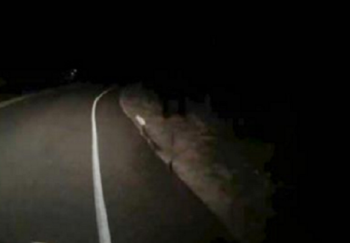 Vozio se po noći pustom cestom, a onda naišao na prizor koji će dugo pamtiti (VIDEO) 