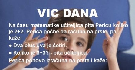 VIC DANA Matematika