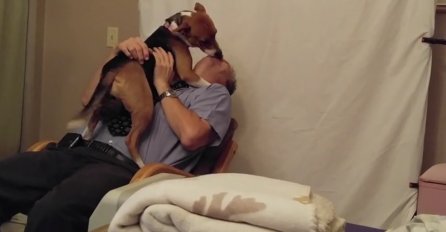 Ovog psa iz azila su dijelili dani od eutanazije, a pogledajte njegovu reakciju nakon što je dobio novog vlasnika! (VIDEO)