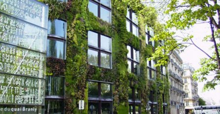 Uskoro zelene fasade u centru Sarajeva