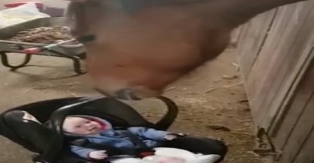  Ostavila bebu kod slijepe kobile: Ovaj snimak nikoga ne ostavlja ravnodušnim! (VIDEO)