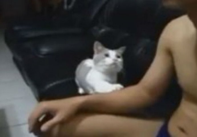 ČUDESNO: Vlasnik je gledao TV, ali dobro obratite pažnju na njegovu ljubomornu mačku! (VIDEO)