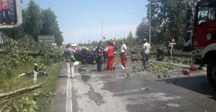 VELIKO NEVRIJEME U NOVOM SADU: Poginula žena nakon što joj je na auto palo drvo