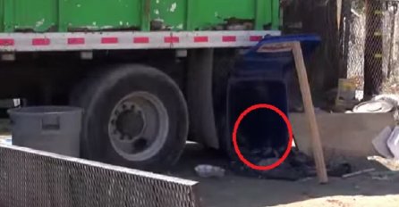 Nakon što su pronašli psa u kontejneru za smeće, bili su iznenađeni jer nije bio sam! (VIDEO)