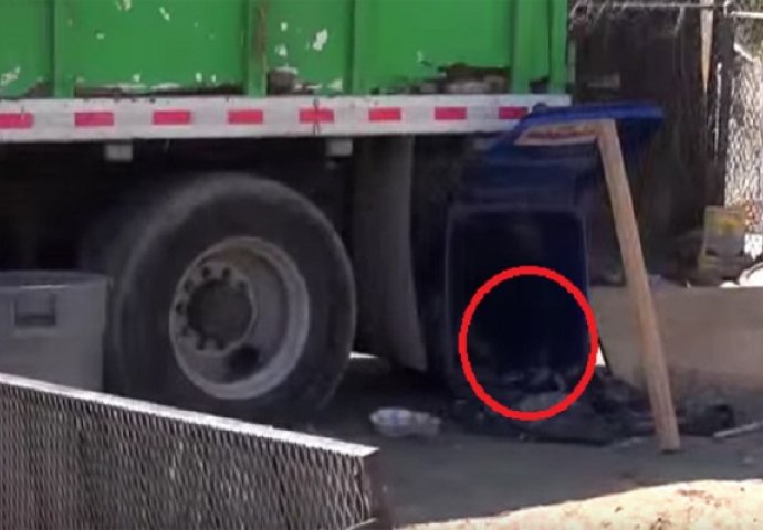 Nakon što su pronašli psa u kontejneru za smeće, bili su iznenađeni jer nije bio sam! (VIDEO)