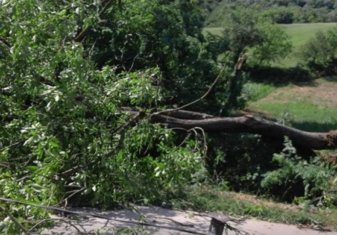 Područje općine Gradačac zahvatilo jako nevrijeme: Vjetar čupao drveće