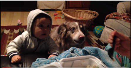 Ova majka je hranila bebu i učila je da kaže "mama", POGLEDAJTE reakciju njihovog psa na to (VIDEO)