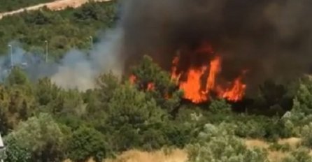 Gori šuma kod Tivta: Vjetar se pojačava, vatra sve više divlja (FOTO) (VIDEO)