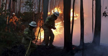 Novi šumski požar u Portugalu, povrijeđeno sedmoro