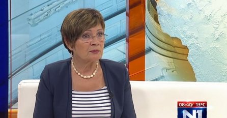 VAJZOVIĆ: Važniji su međustranački sukobi nego Pelješki most