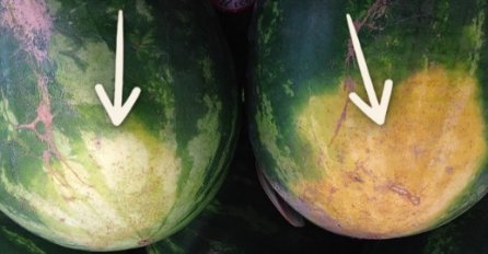 IZABERITE PRAVU NA OVAJ NAČIN: Poljuprivrednik otkrio kako svaki put izabrati najslađu lubenicu! 