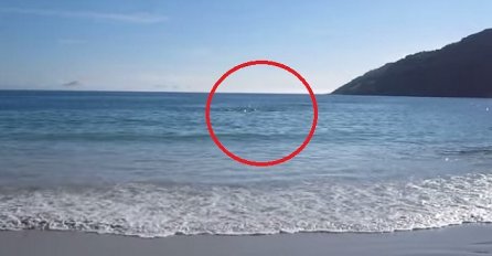 Došao je da snima plažu i more, nije mogao vjerovati očima šta se onda desilo! (VIDEO)