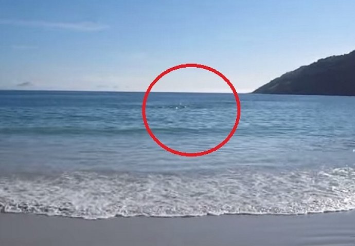 Došao je da snima plažu i more, nije mogao vjerovati očima šta se onda desilo! (VIDEO)