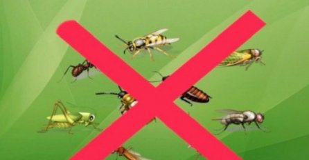 RIJEŠITE SE MUKA: Ove će otjerati KOMARCE i druge insekte za čas posla!