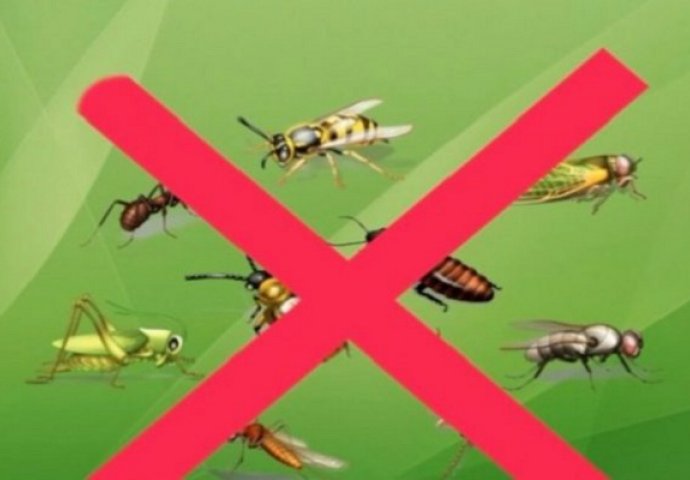 RIJEŠITE SE MUKA: Ove će otjerati KOMARCE i druge insekte za čas posla!