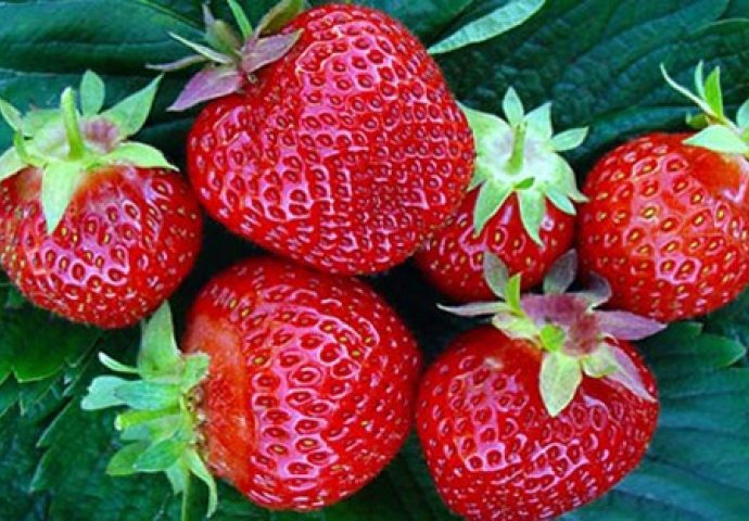 Bacate najzdraviji dio jagode - Prestati ćete kada vidite koliko je LJEKOVIT!