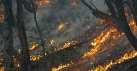 POŽAR KOD MOSTARA: Vatrena linija duga čak nekoliko KILOMETARA!