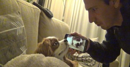 Njegov pas glasno hrče i budi ga svakog jutra, ono što mu je jednog dana uradio vlasnik nasmijalo je milione ljudi (VIDEO)