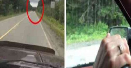 Vozeći se automobilom u daljini je ugledao kako nešto pretrčava cestu, zaustavio se da provjeri o čemu se radi no bolje da nije! (VIDEO)