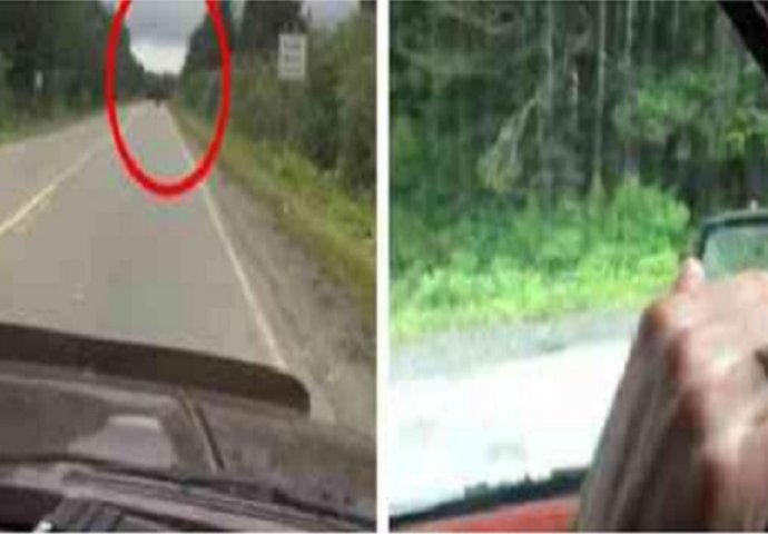Vozeći se automobilom u daljini je ugledao kako nešto pretrčava cestu, zaustavio se da provjeri o čemu se radi no bolje da nije! (VIDEO)