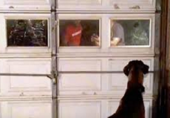 Gazda jedva prežalio gubitak psa da bi mu susjed nakon dvije godine rekao da se on nalazi iza njegovih garažnih vrata (VIDEO)