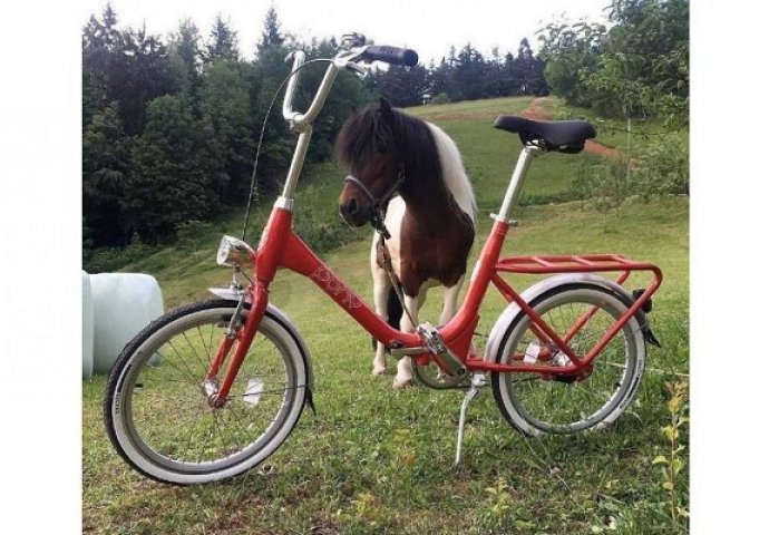 Bicikl naše mladosti: Vratio se legendarni Pony, cijena će vas razočarati