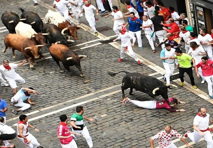 Najmanje deset osoba povrijeđeno u finalnoj utrci s bikovima u Pamploni