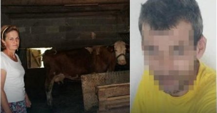 ŠOK KOD TEŠNJA: Manijak zatečen kako siluje kravu u štali, viđen i kako krade ženski i dječiji veš