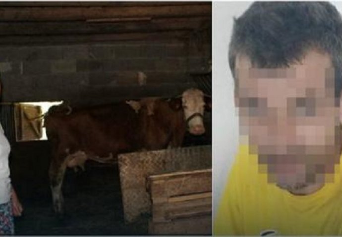 ŠOK KOD TEŠNJA: Manijak zatečen kako siluje kravu u štali, viđen i kako krade ženski i dječiji veš