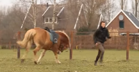 Ova djevojka je izvela konja na jahanje , međutim on je imao druge planove! (VIDEO)