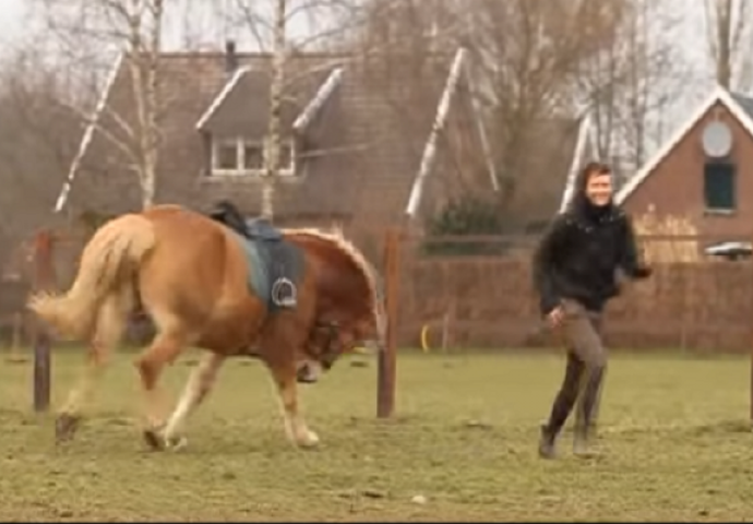 Ova djevojka je izvela konja na jahanje , međutim on je imao druge planove! (VIDEO)