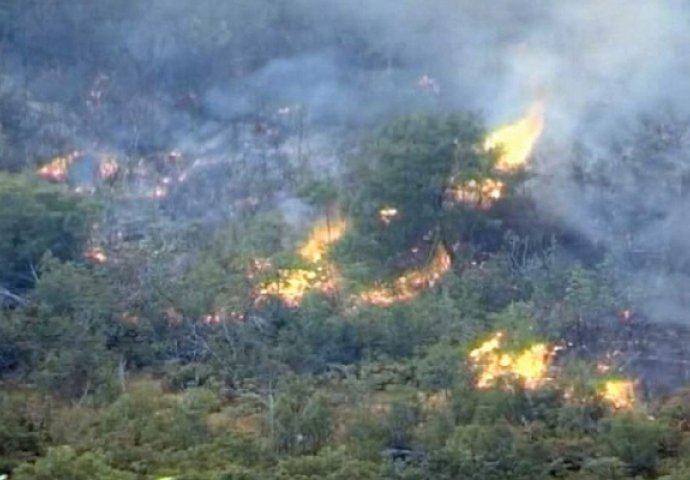 Srbija nudi pomoć BiH, Hrvatskoj i Crnoj Gori u borbi protiv požara 