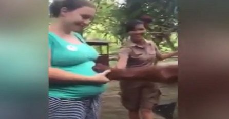 Mislite da životinje ne mogu osjetiti trudnoću? Pogledajte ovog orangutana! (VIDEO)
